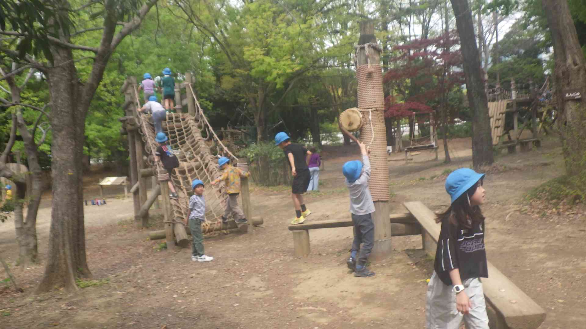 RIMG6715